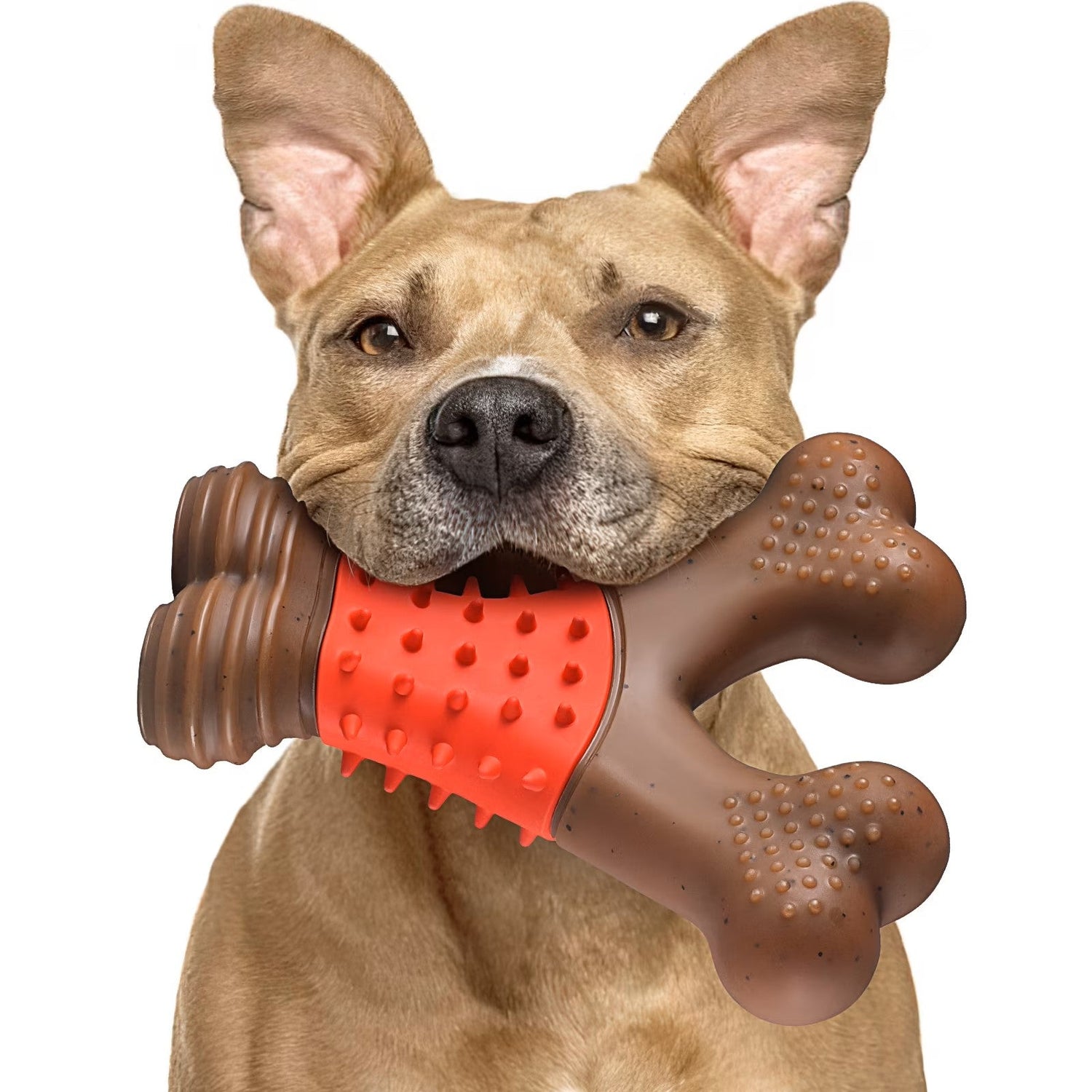 Dog Toys