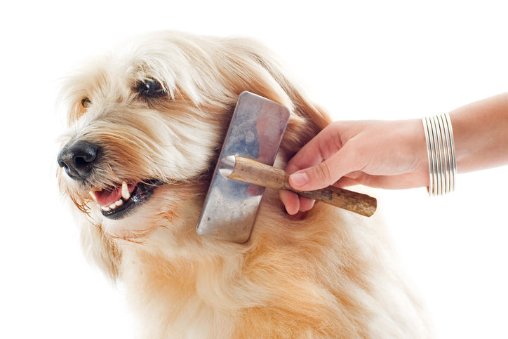 Grooming Supplies