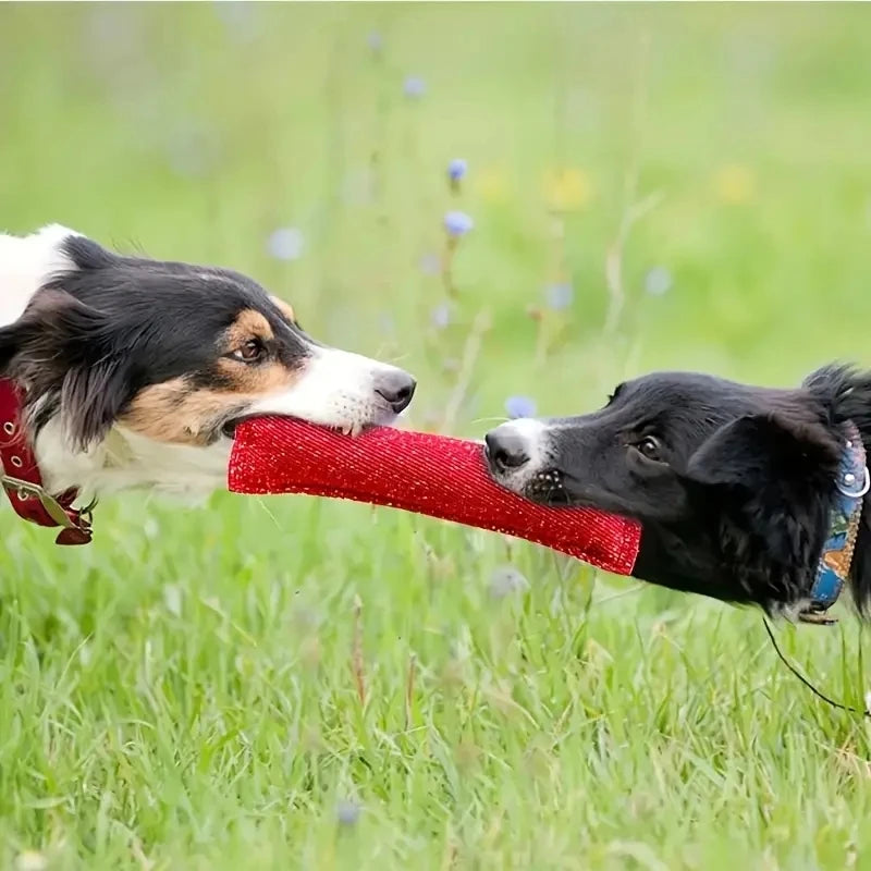 Dog Tug Toy Dog Tug Toy Outdoor Tug of War Puppy Dog Training Chewing Pillow Best for Tug of War, Puppy Training Interactive Gam