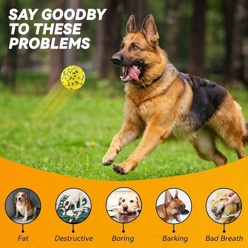 Dog Toy Ball Solid Bite Resistant Small Large Dog Toys E-TPU High Elasticity Pet Chew Ball Toy Interactive Puppy Pet Supplies